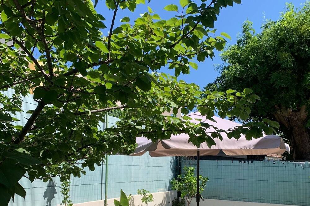 Photo of Outdoor in Saint-Martin