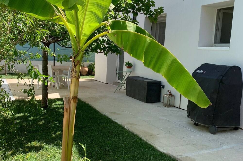 Photo of Outdoor in Saint-Martin