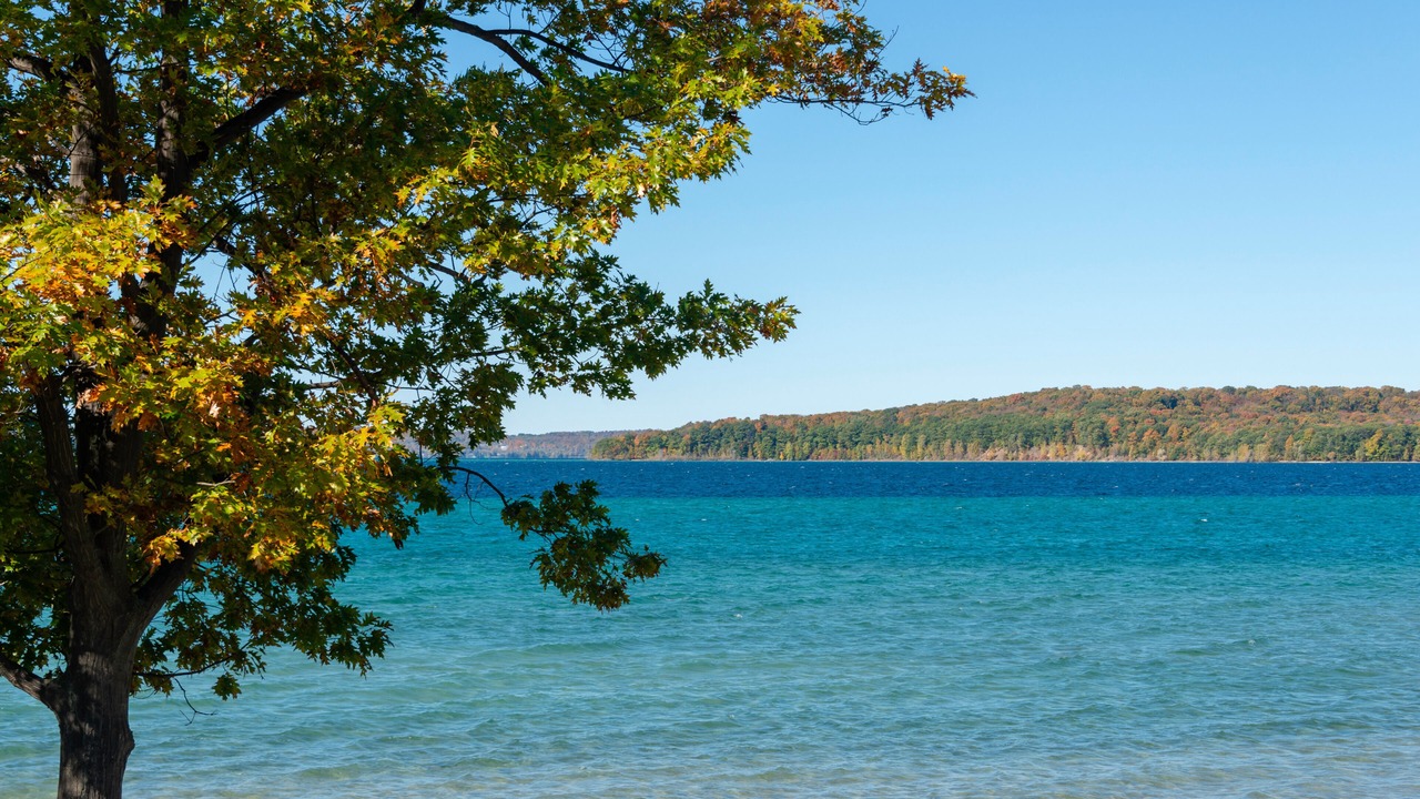 Photo of Others in Traverse City