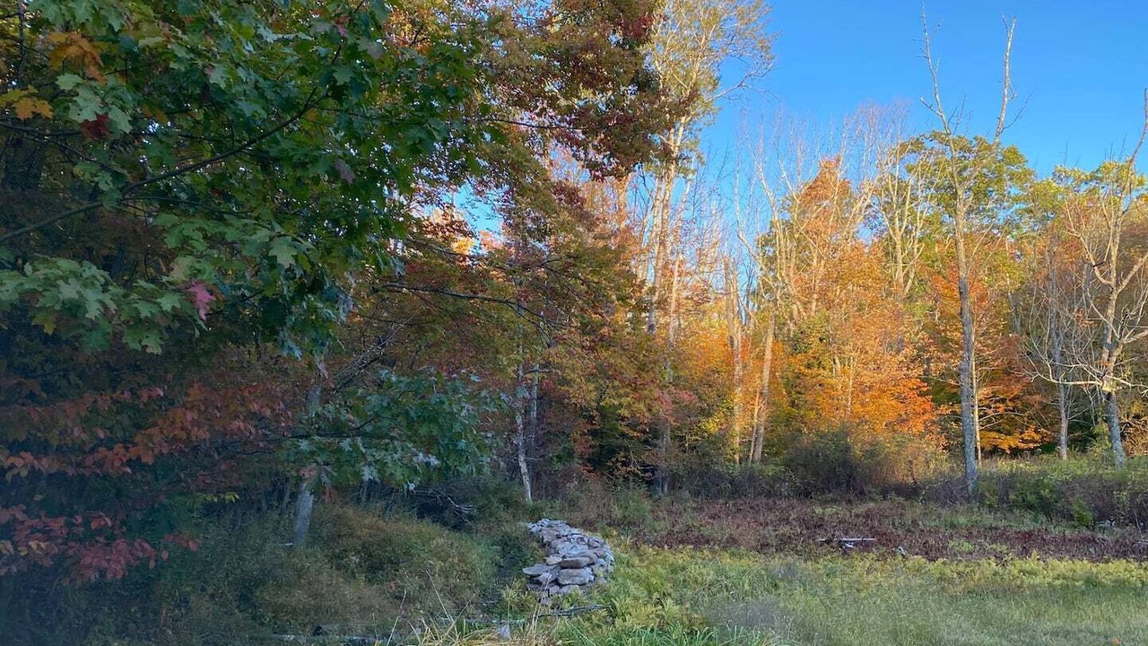 Photo of Outdoor in Haines Falls