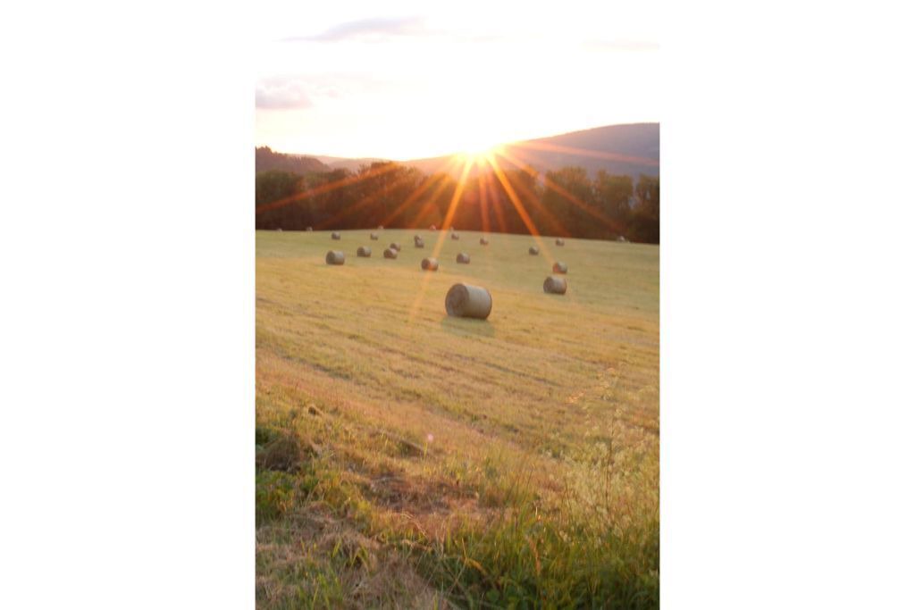 Photo of Others in Indevillers