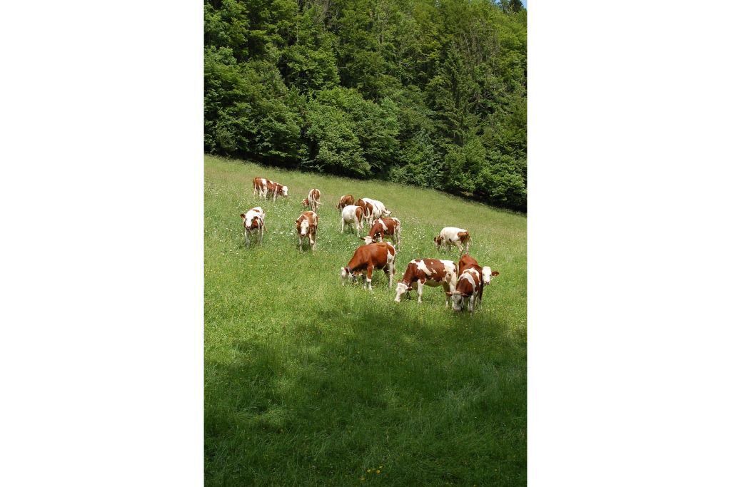 Photo of Others in Indevillers