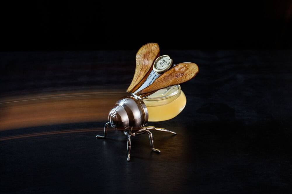 Photo of Others in East Central Park