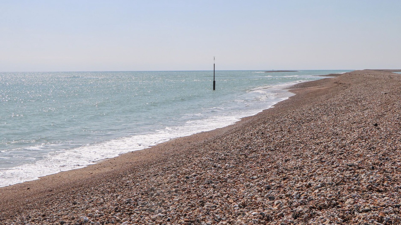 Photo of Others in Pagham