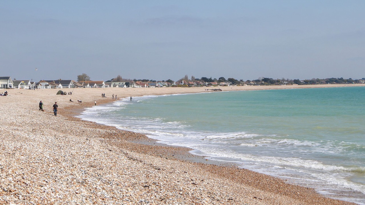 Photo of Others in Pagham