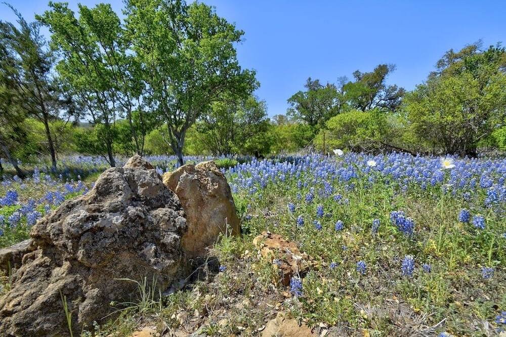 Photo of Outdoor in Johnson City