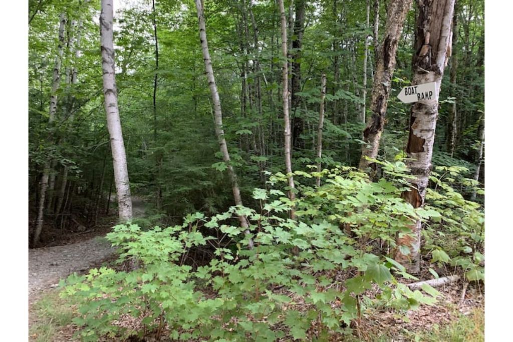 Photo of Outdoor in Beddington