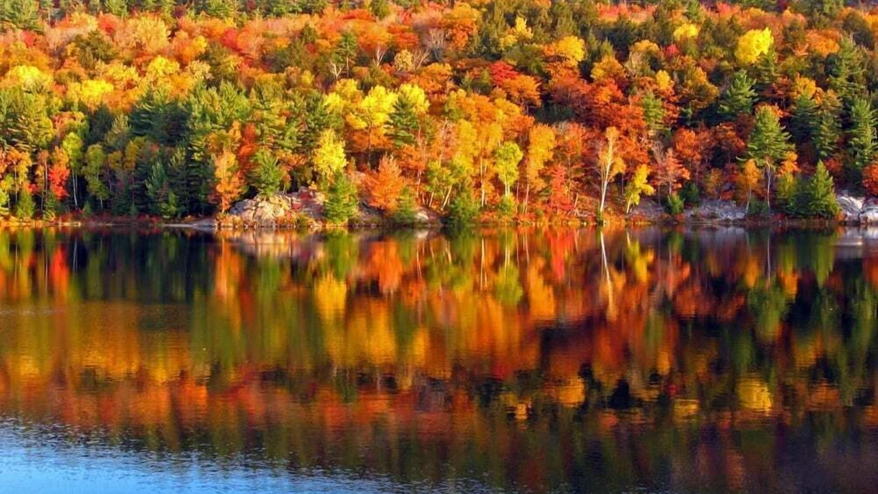 Photo of Outdoor in Lake George