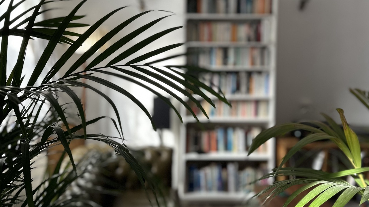 Photo of Others in Colyton