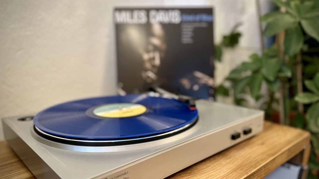 Photo of Others in Colyton