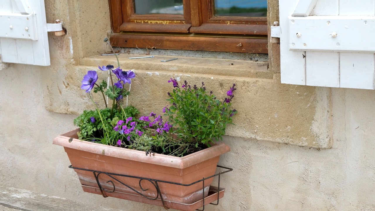Photo of Others in Montbernard