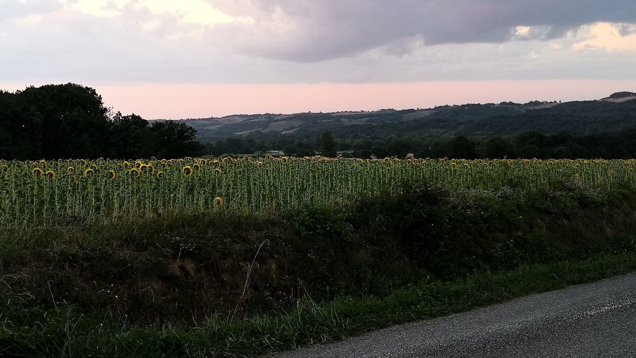 Photo of Outdoor in Montbernard