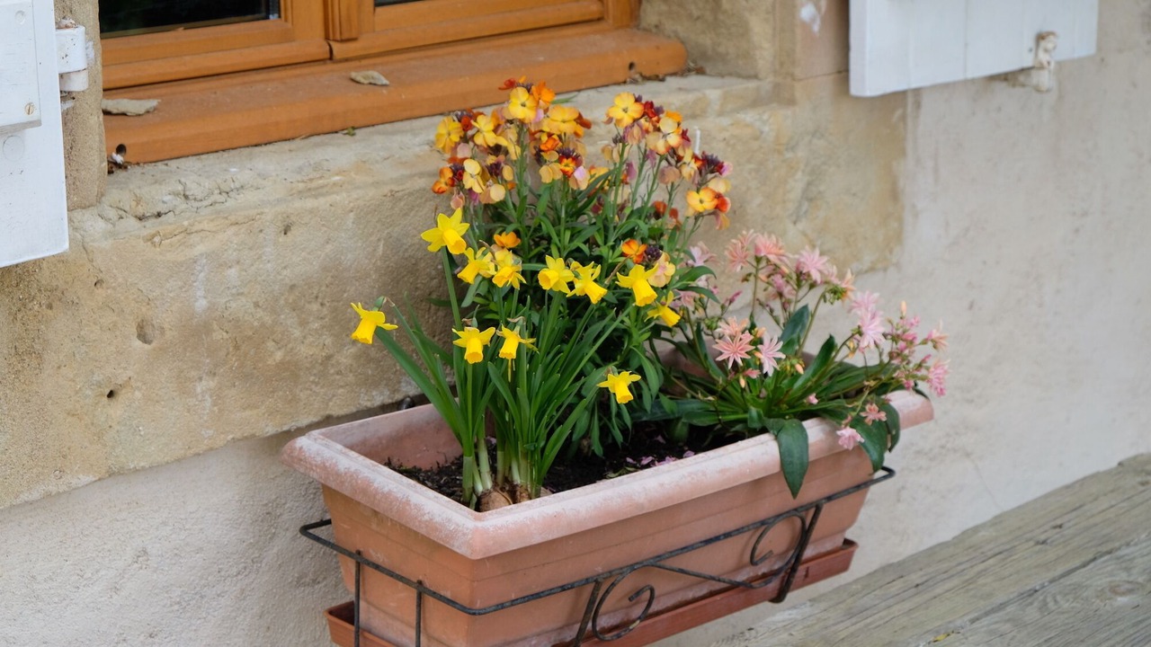 Photo of Outdoor in Montbernard