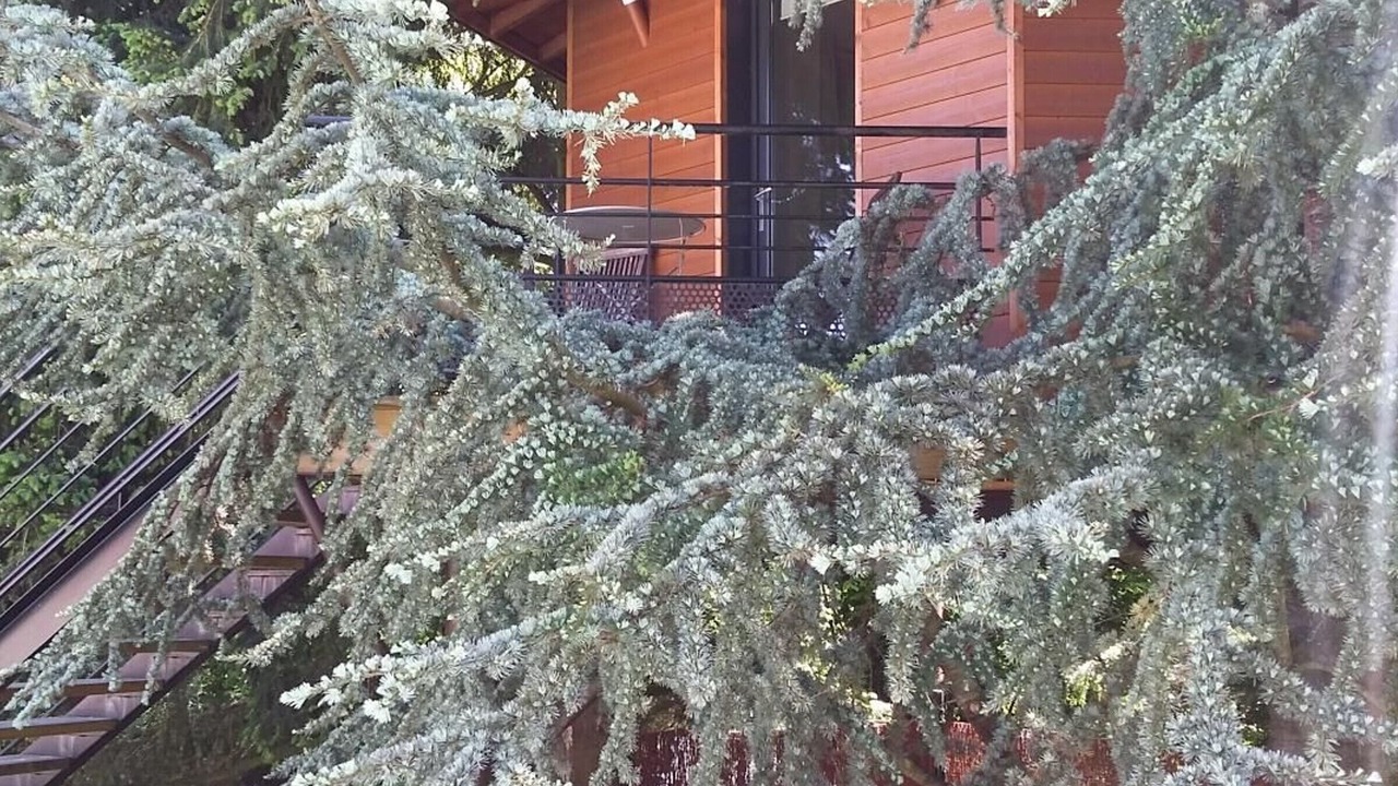 Photo of Outdoor in Port-Saint-Pere
