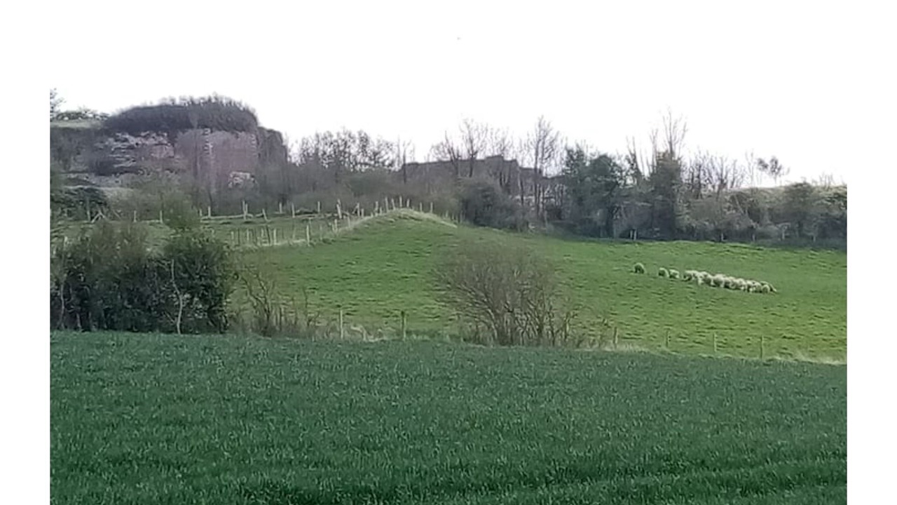 Photo of Outdoor in Attin