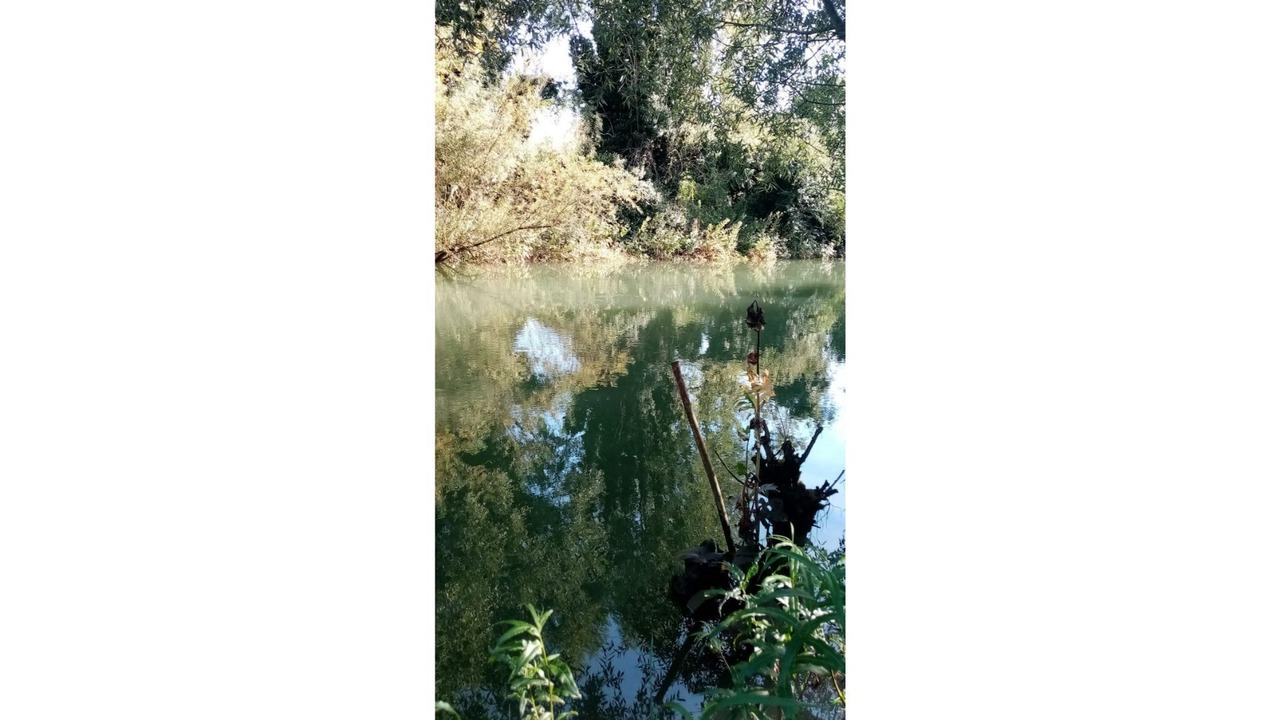 Photo of Outdoor in Attin