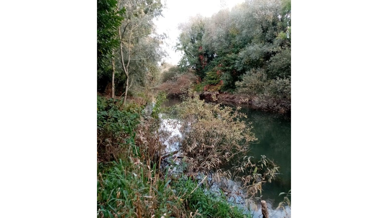 Photo of Outdoor in Attin