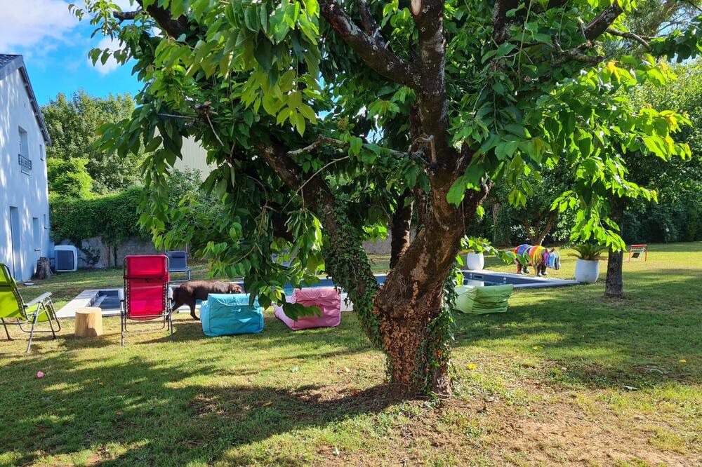 Photo of Outdoor in Nalliers