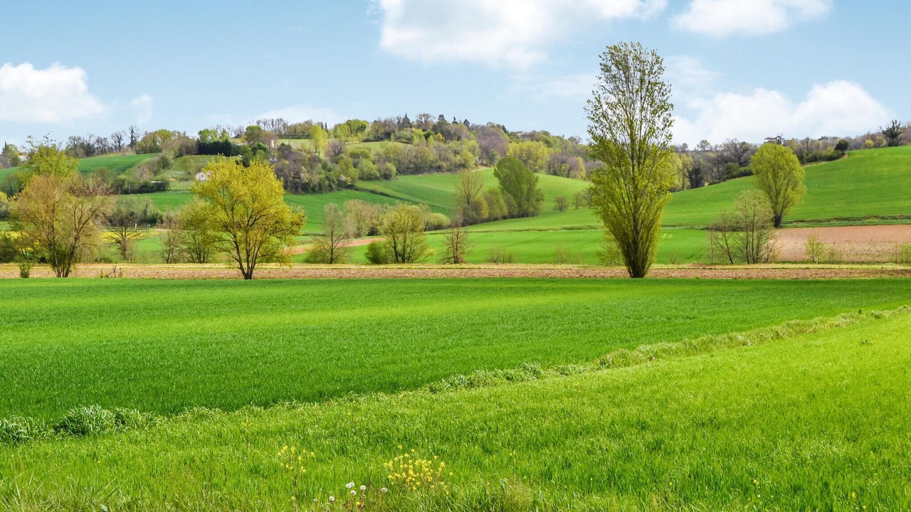 Photo of Others in La Sauvetat-de-Saveres