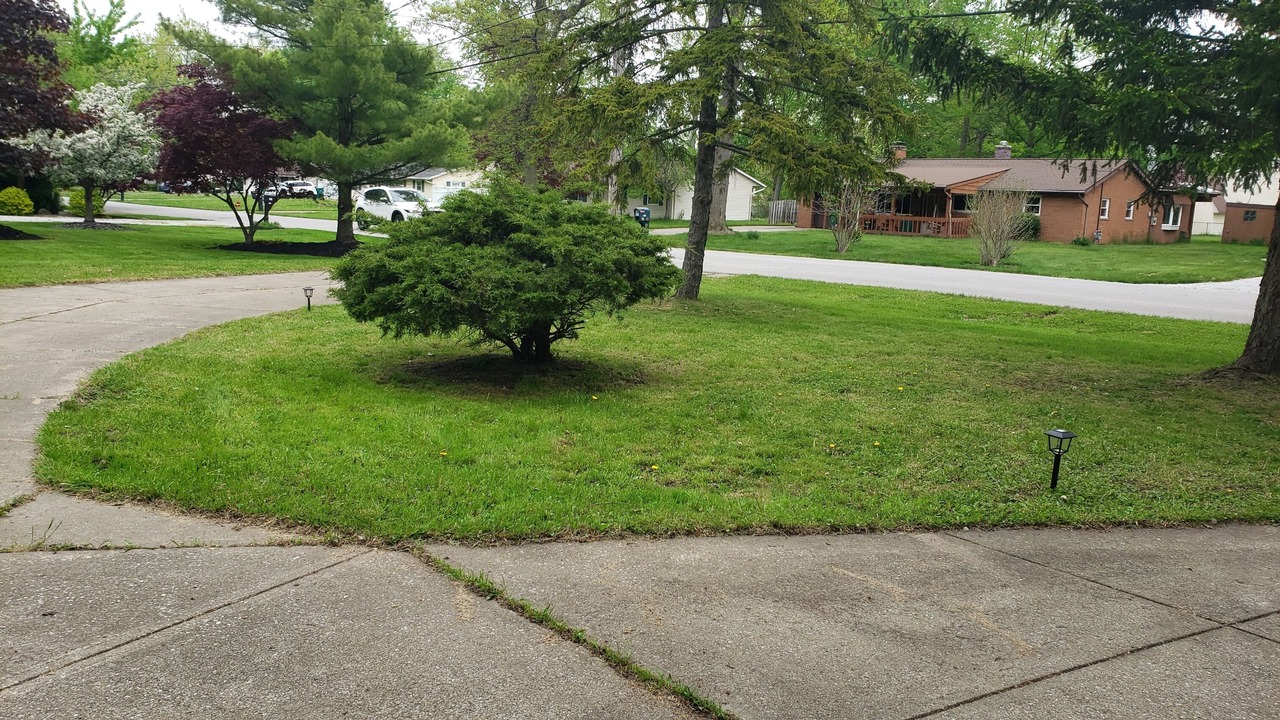 Photo of Outdoor in Mentor