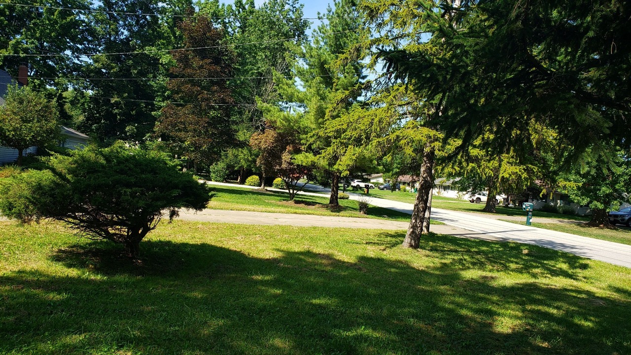 Photo of Others in Mentor