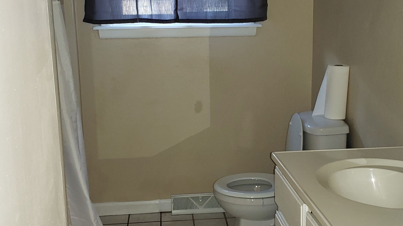 Photo of Others in Mentor