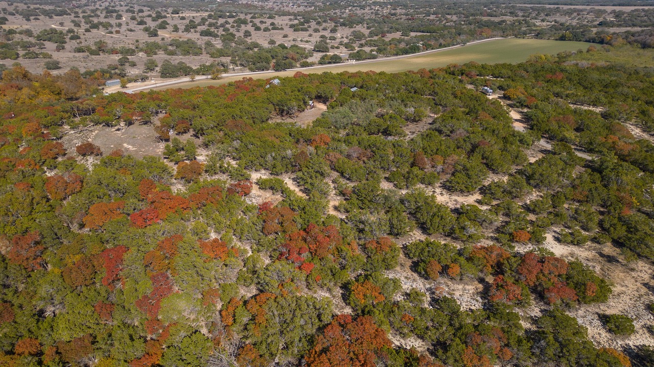Photo of Outdoor in Blanco