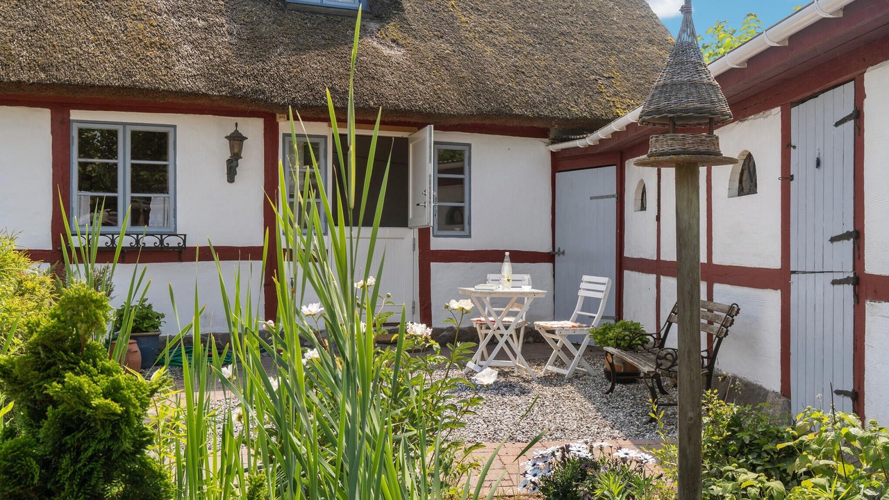 Photo of Outdoor in Bog By