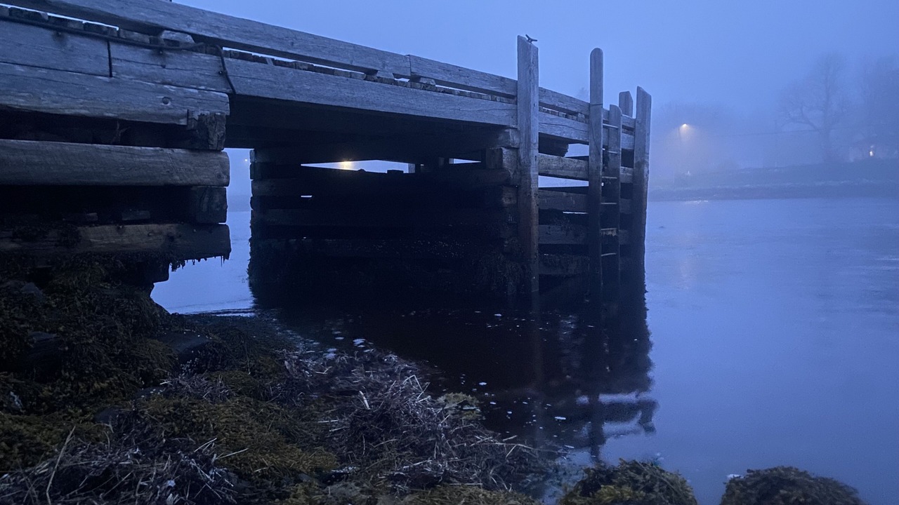 Photo of Outdoor in Lunenburg County
