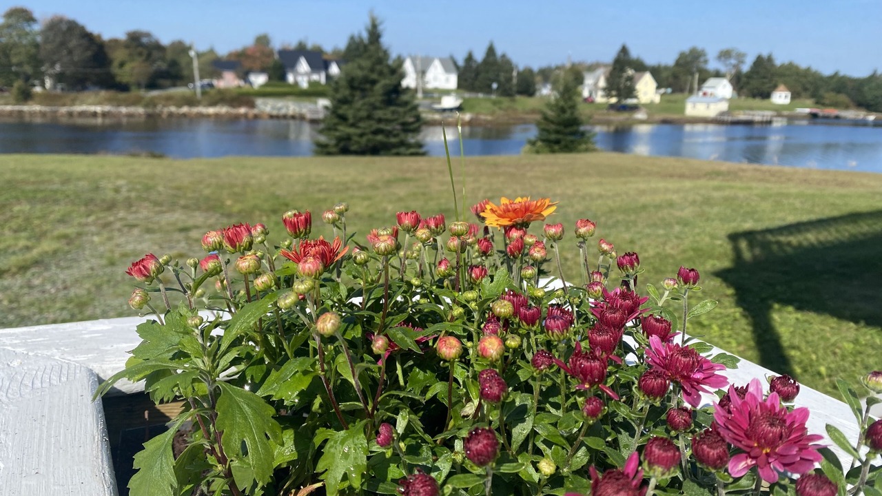 Photo of Outdoor in Lunenburg County