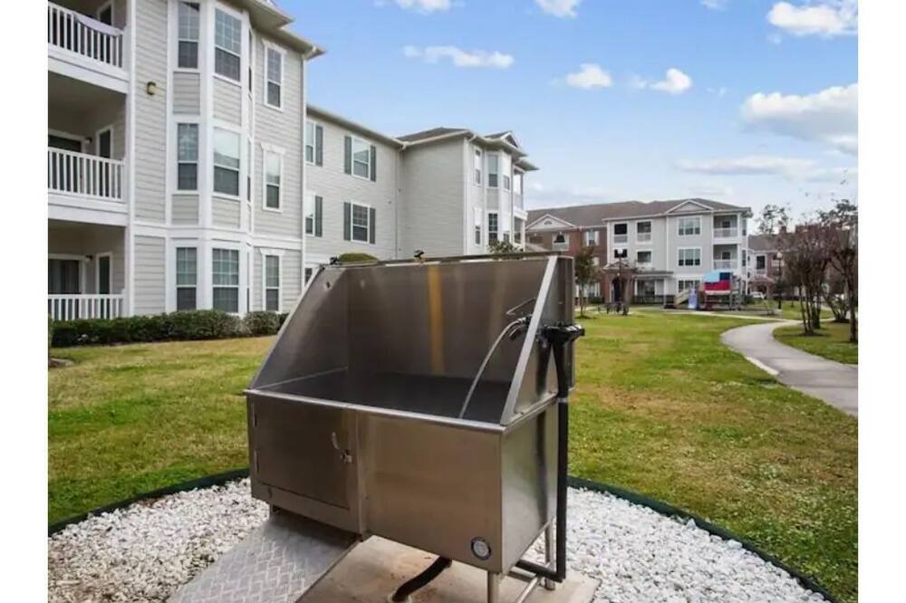 Photo of Outdoor in College Park