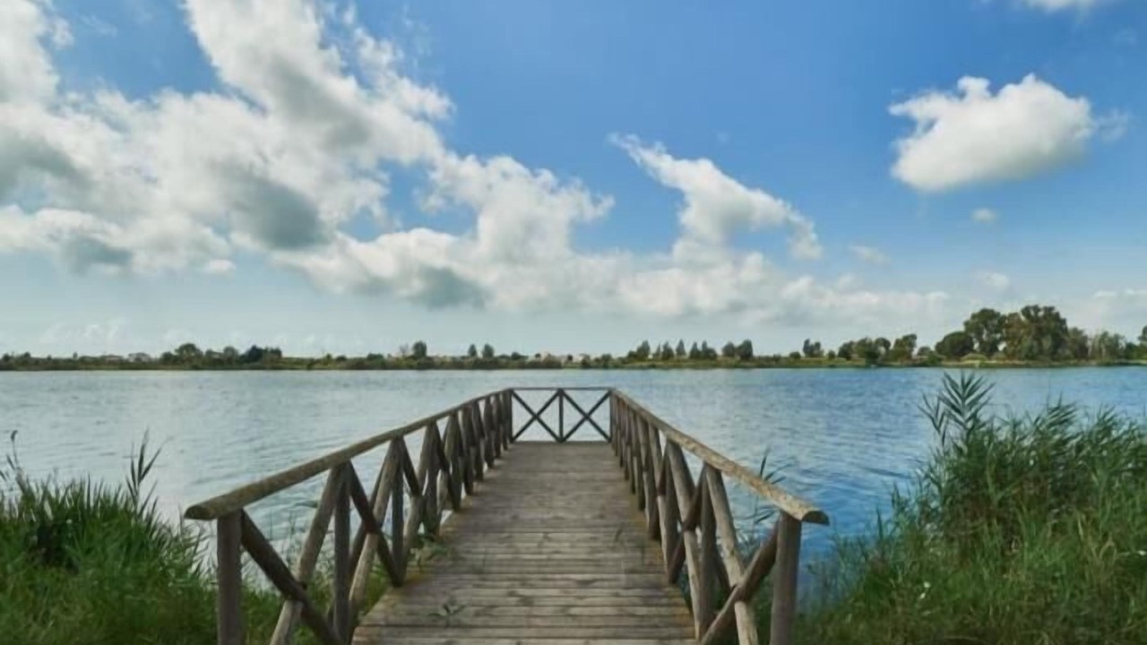 Photo of Outdoor in Deltebre