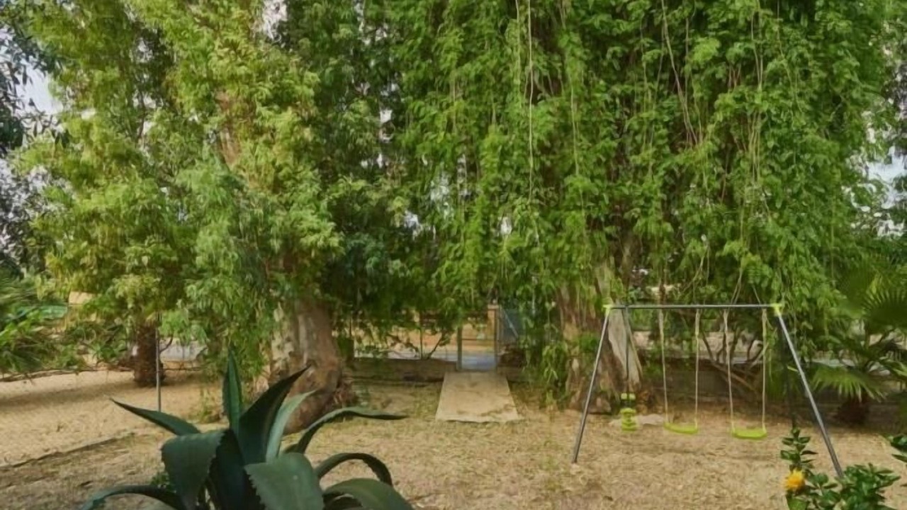 Photo of Outdoor in Deltebre
