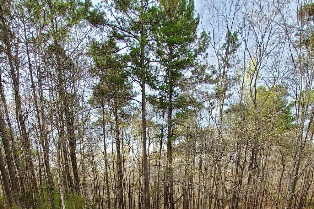 Photo of Others in LaGrange