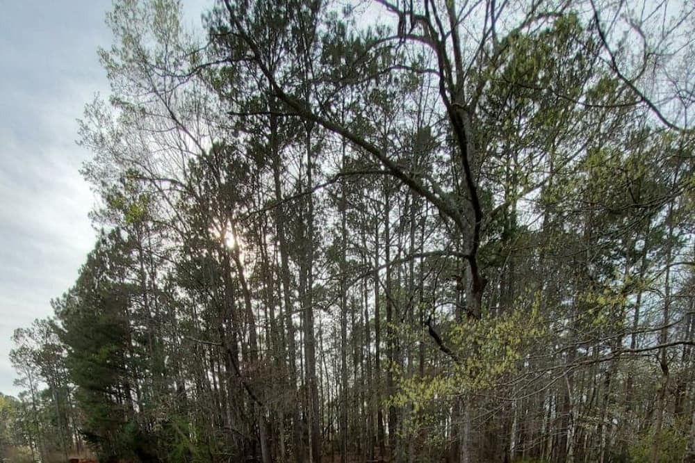 Photo of Outdoor in LaGrange