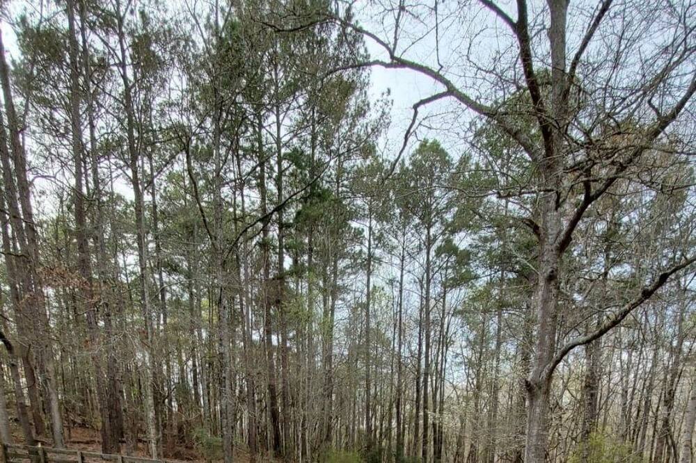 Photo of Outdoor in LaGrange