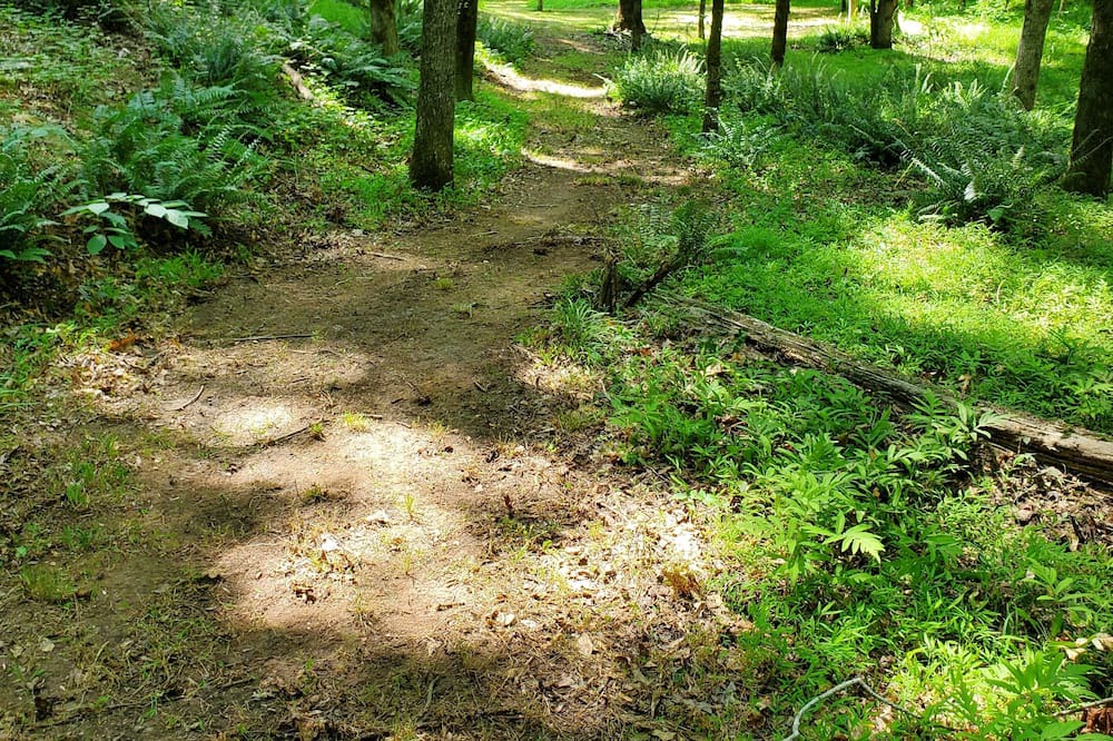 Photo of Outdoor in LaGrange
