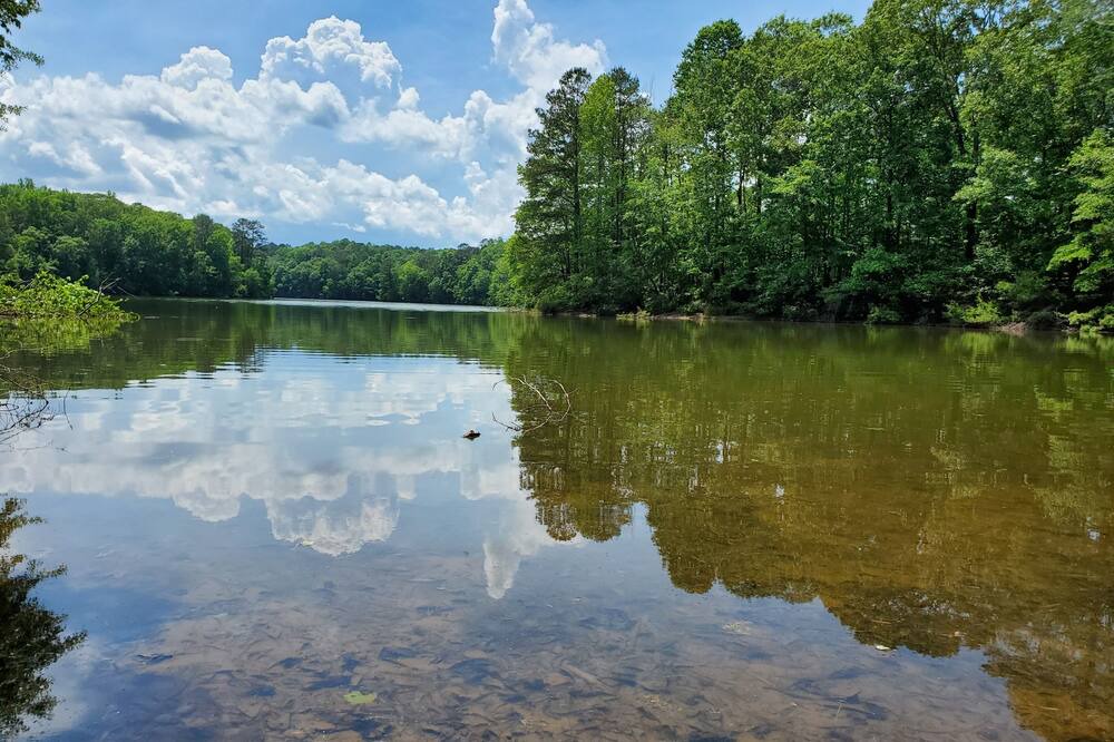 Photo of Outdoor in LaGrange