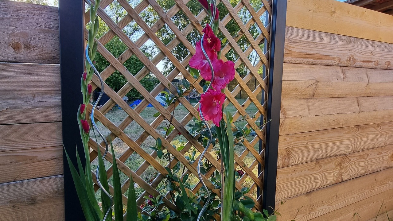 Photo of Outdoor in Saint-Savin