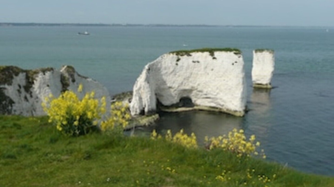 Photo of Others in Studland
