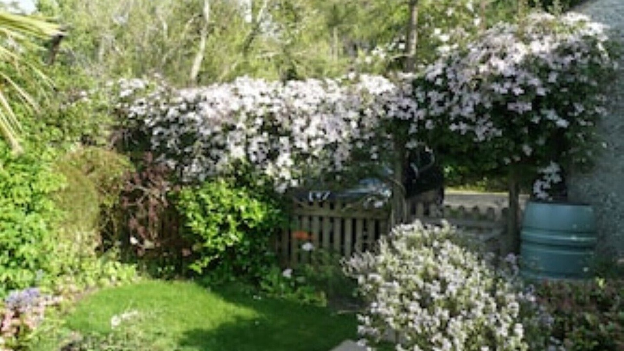 Photo of Outdoor in Studland