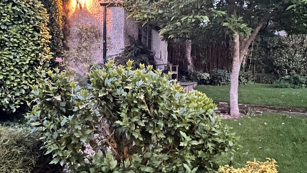 Photo of Outdoor in Studland