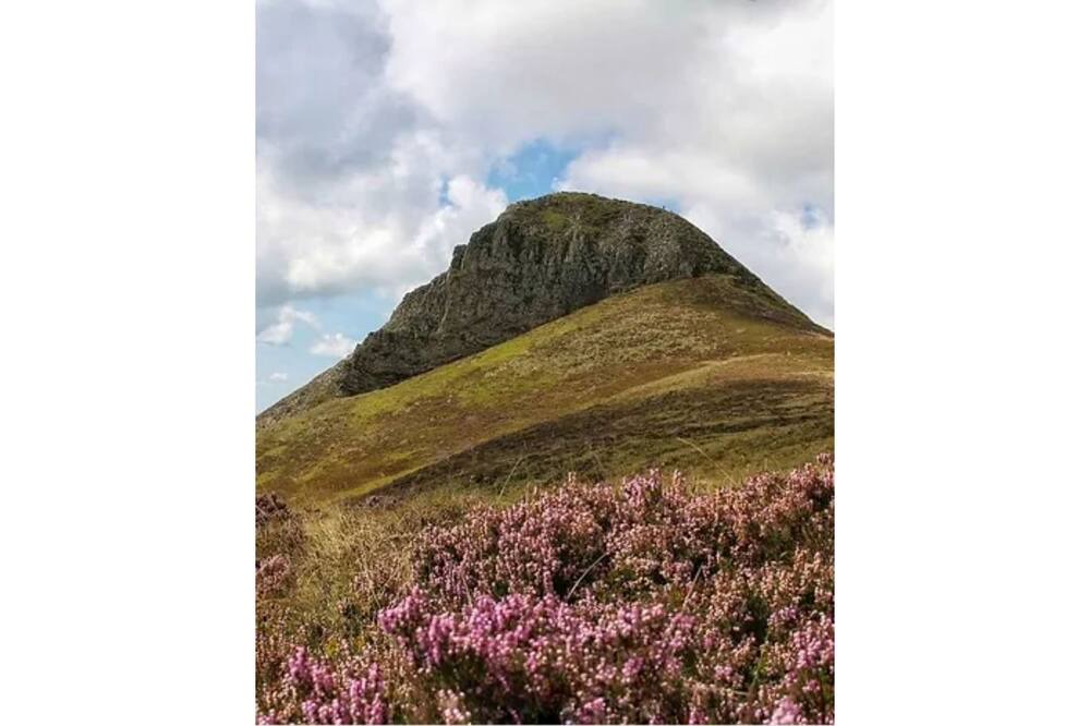 Photo of Outdoor in Nebouzat