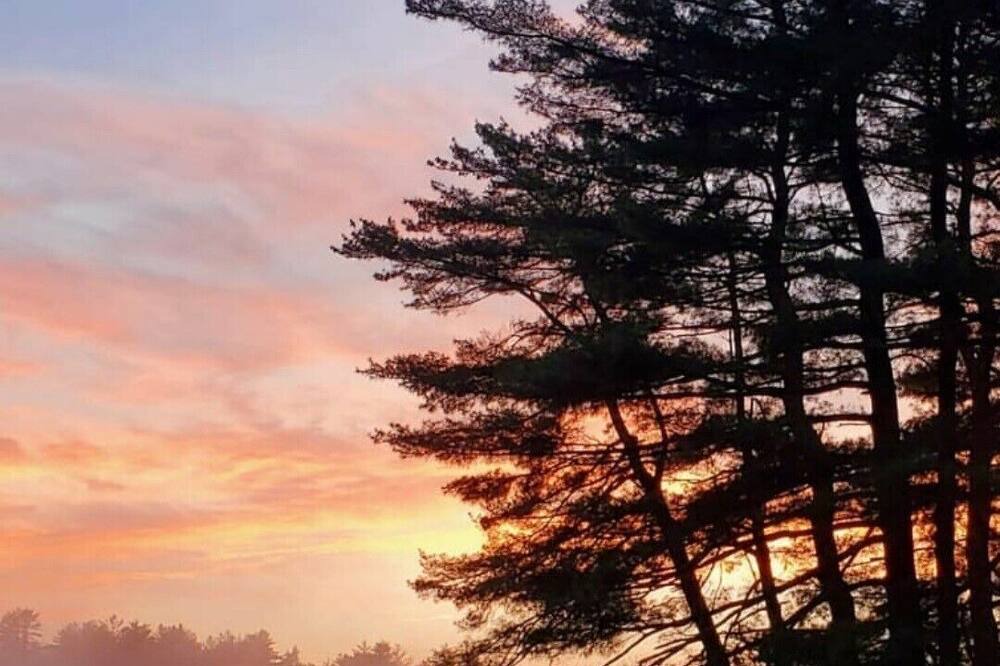 Photo of Others in Monticello