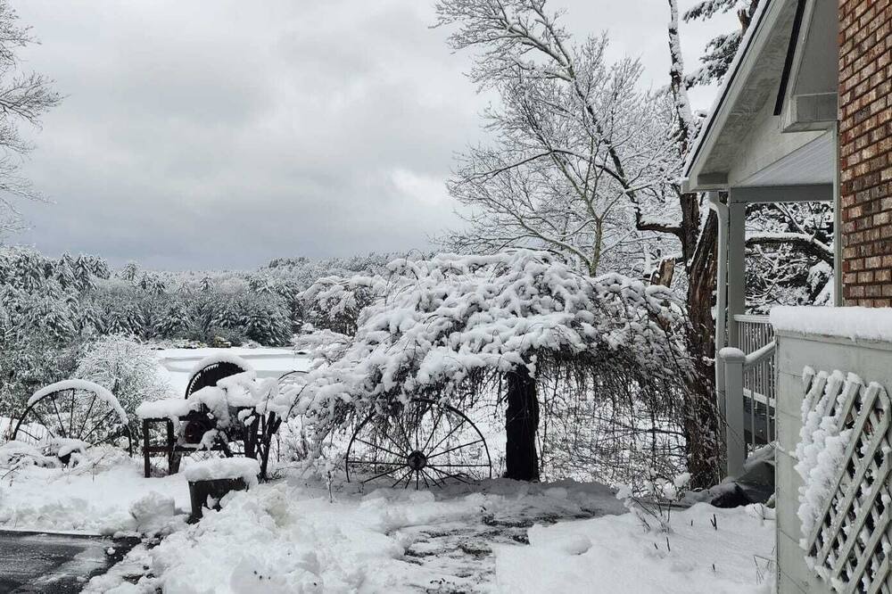 Photo of Others in Monticello