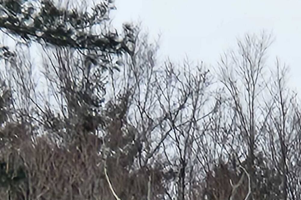 Photo of Others in Monticello