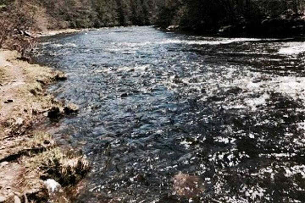 Photo of Others in Monticello