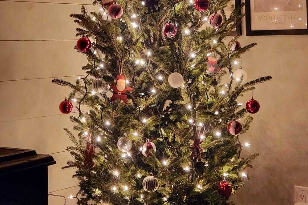 Photo of Others in Monticello