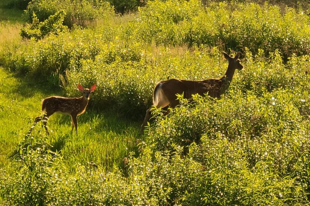 Photo of Others in Monticello