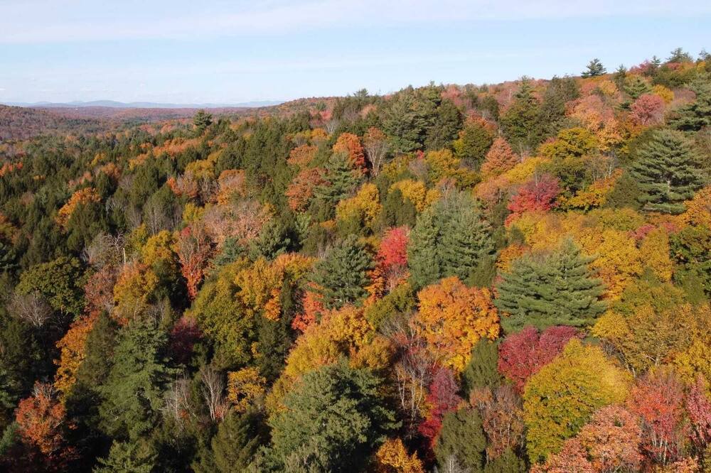 Photo of Others in Monticello